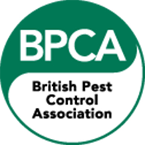 Logo of the British Pest Control Association (BPCA), emphasizing accreditation and expertise in pest control services relevant to drainage solutions.